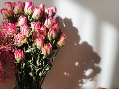 -爱尚幸福鲜花(上地实体店)
