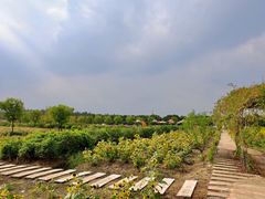 -嘉北郊野公园