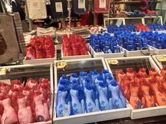 -猫咪博物馆(顶澳仔猫街店)