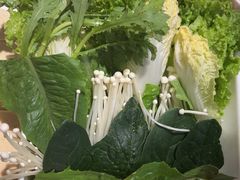 -清真军邺·金富苑肥牛(石坡街旗舰店)