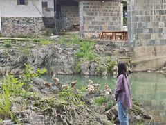 -鹿亭中村