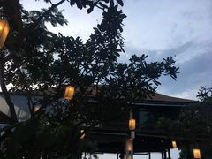 -Rimpa Lapin悬崖餐厅