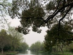 -西溪国家湿地公园