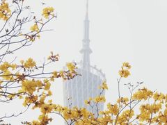 -洲头咀公园