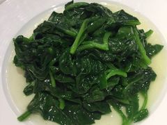 有机蔬菜-浦华大酒店-台南担仔面海鲜楼