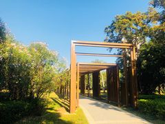 -福田红树林生态公园