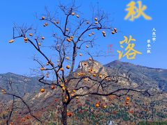 -周口店坡峰岭风景区