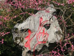 -杭州植物园
