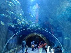 -华夏文旅海洋公园