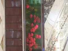 -悦来酒家·正宗闽南菜(西街店)