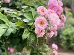 -人民公园(罗湖区)