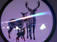 -炉鼎记私房菜(总店)