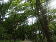 -玲珑塔公园