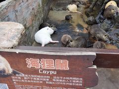 -海南热带野生动植物园