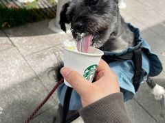 -申普宠物医院·眼科·心内科·影像科(普陀分院)