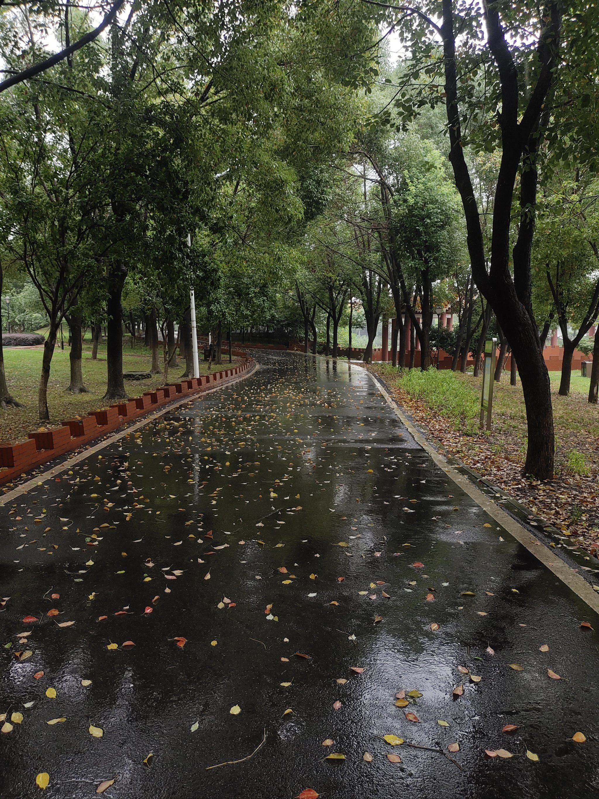 雨中奔跑意境图片