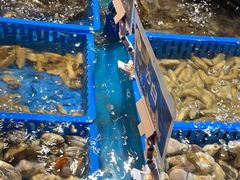 -御品海宴海鲜自助餐厅(龙岗万科广场店)