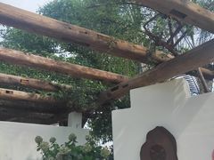 -悦哉·派对·草坪婚礼·围炉煮茶(三圣乡店)