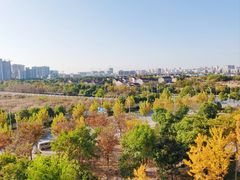 -梧桐人家中国太平国际健康颐养社区