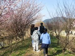 -石塘人家