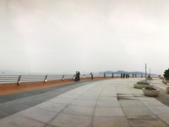 -演武大桥观景平台