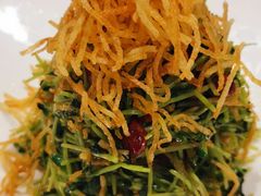 巧拌豆苗-四季民福烤鸭店(王府井灯市口店)