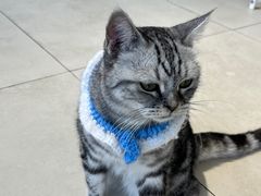 -怪兽屋·羊驼·猫咖·狗咖(俊华广场店)