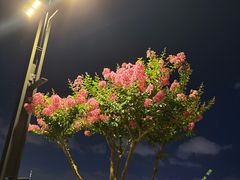 -钱塘江