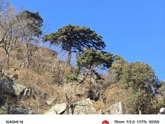 -泰山风景名胜区