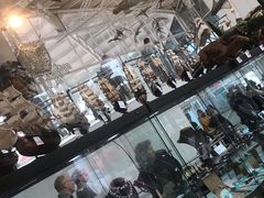 -澳大利亚国家海事博物馆