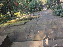 -忠山公园