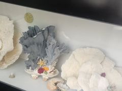 -海旺小海鲜大排档(冠亚星城店)