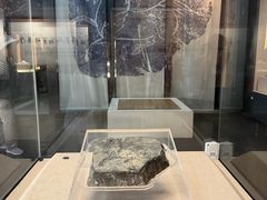 -亳州博物馆