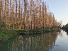 -上海怡沁园度假酒店