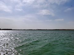 -丁香湖公园