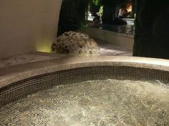 -巴斯漫温泉汗蒸馆(贡湖大道店)
