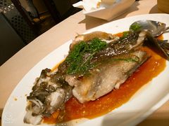 野生荀壳鱼-金苑海鲜酒家(来魅力店)