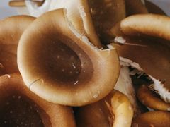 -畲乡一品鱼府土菜馆