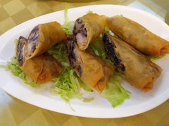 鲜蝦三文鱼春卷-龙宝轩(坦洲店)