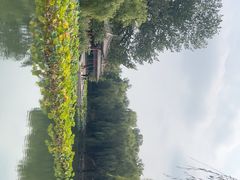 -近春园遗址