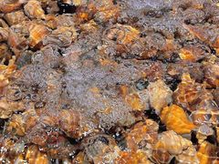 -三亚火车头万人海鲜广场