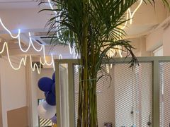 -樹夏shhha(越秀店)