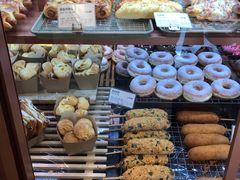 -多乐之日(五道口店)