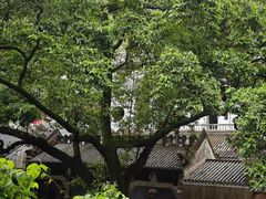 -飞霞风景名胜区