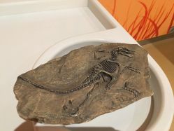 -北京科学中心儿童乐园