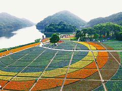 -广州市石门国家森林公园