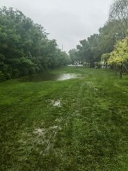 -鸿禧国际高尔夫俱乐部婚宴·草坪婚礼·宴会厅