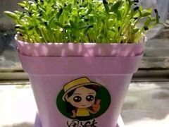 -木兰围场