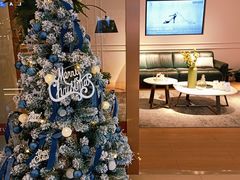 -月星家居(杭州商场店)