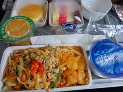 -新加坡航空公司(ION)